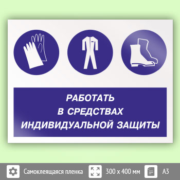 ���� ��������� � ��������� �������������� �������, ��-81