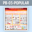 ����� ��������� ������������. ��������� �������� �������������� (PB-03-POPULAR)